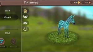 КУПИЛА Wild Club