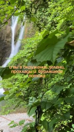 IMG_1058.MP4