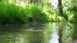 Ефрем Сирин О терпении часть 4