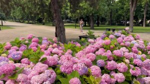 ☀️Краснодар июнь 2025 Александровский Бульвар.