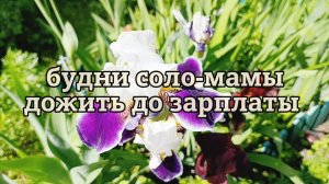 ОДНА С ДВУМЯ ДЕТЬМИ| КАК ДОЖИТЬ ДО ЗАРПЛАТЫ