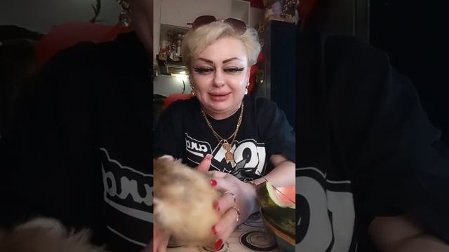 Привет