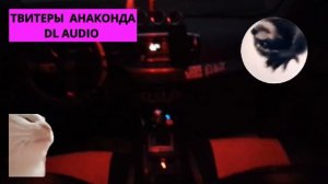 Установка твитеров и кроссоверов Anaconda DL Audio в задние д?