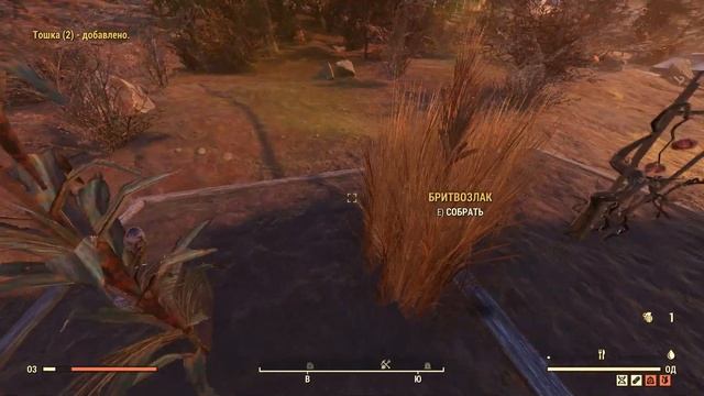 Fallout 76 Собрать дикие растения или грибы смотреть онлайн