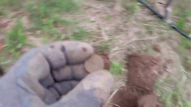 Ну очень странные сигналы на монеты. Minelab X Terra Elite. смотреть онлайн