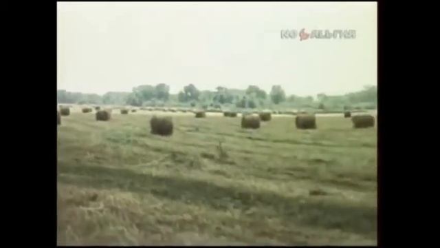 Начало сенокоса в Волгоградской области. 1988 год