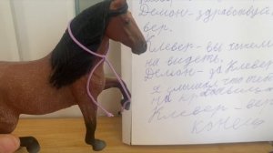 Шляйх лошади