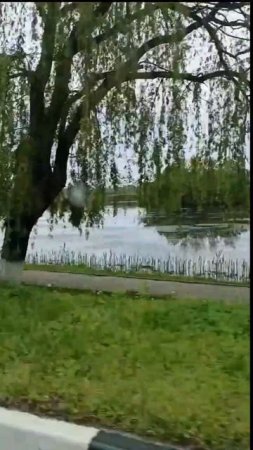 С Днём России ❤️