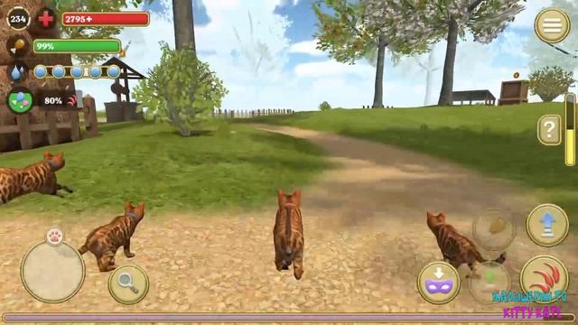 😻Симулятор КОТА и КОШКИ🐾БОСС напал🐾жизнь котика🐾 смотреть онлайн