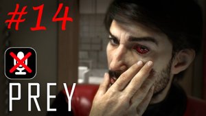 Prey #14 - Лаборатория A