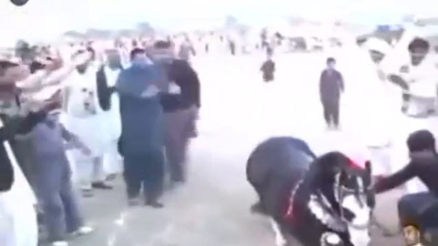 Лезгинка. Танцует лошадь. смотреть онлайн