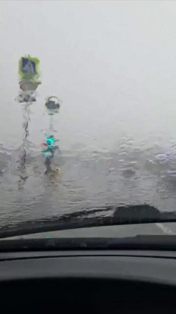 Со второй половины 13 июня до 10 утра 14 июня в Москве ожидается ливень, гроза и ветр до 15-17 м/с