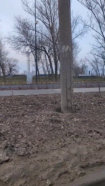 2025.01.29-30 . погода в январе 2025 . спасибо тебе, природа! смотреть онлайн