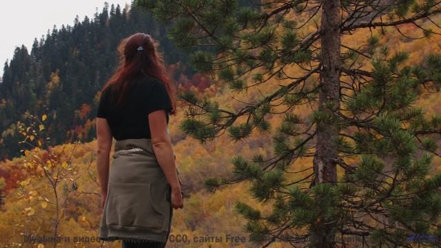 Видео, сжатое до квантовых битов - технологии за гранью! - Disturbing Hybrid -- One Man Book -- Life