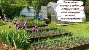 Уютная дача: Огородные работы, съездили к маме, обзор комнатных растений, бельчата радуют.