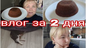 11-06-2025 ИНСТРУКТАЖ ПРОЙДЕН * ЗОЛУШКА УКУСИЛА * ВКУСНЫЙ КЕКС