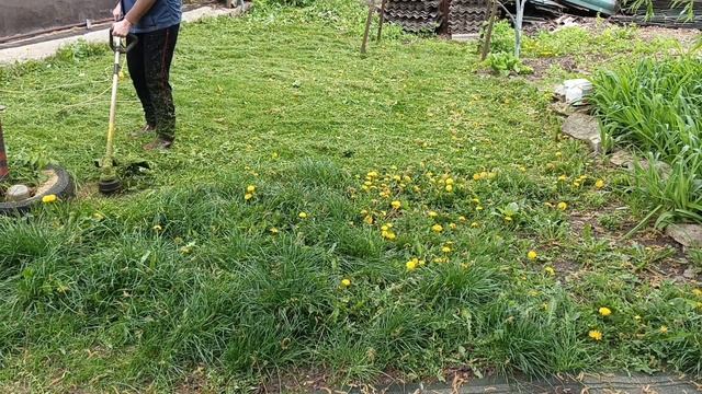 Триммер против газонной травы смотреть онлайн