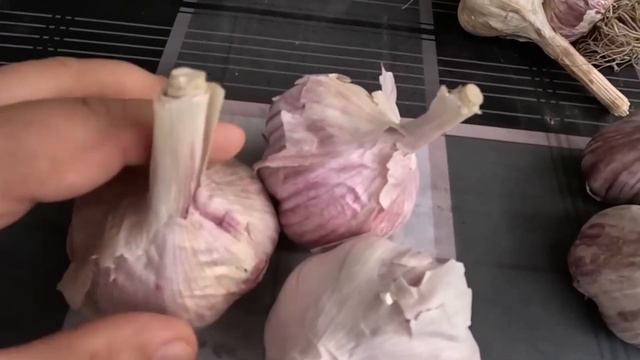 Як правильно вибрати часник для посадки на зиму смотреть онлайн