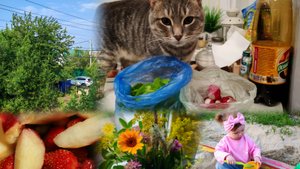 Тихий уютный деревенский влог, счастливая и размеренная жизнь в деревне, деревенское лето