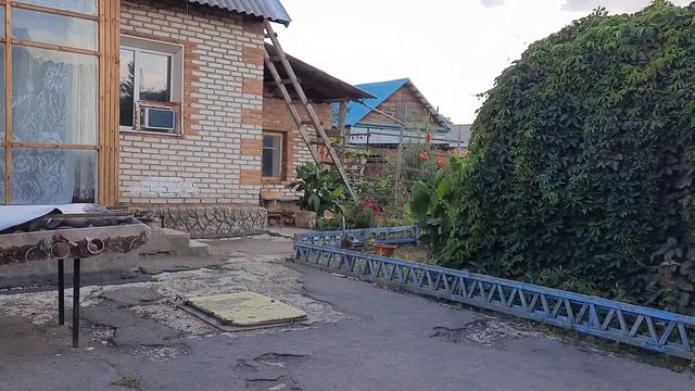 дорогая наша картошка смотреть онлайн