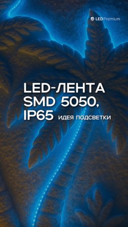 🌟 Идея подсветки: стиль, глубина, уют. LEDPremium.ru