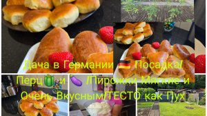 Пышные воздушные как Пух Пирожки с Вишней/🍒 Что добавляю ТЕСТО 🔥/Посадка Перца 🫑и Баклажан 🍆