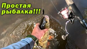 ДА СКОЛЬКО ЗДЕСЬ ПОКЛЁВОК!!! ПРИШЛОСЬ МЕНЯТЬ КРЮЧКИ!!!