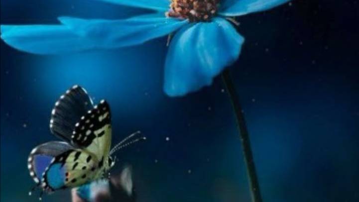 Пожелания доброй и спокойной ночи ✨ #новыепожеланияспокойнойночи