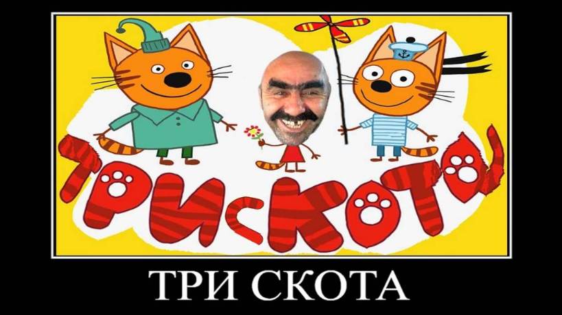 ПОПРОБУЙ НЕ ЗАСМЕЯТЬСЯ #16 😂 ТРИ КОТА