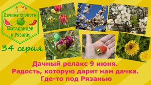 Дачный релакс 9 июня. Радость, которую дарит нам дачка. Где-то под Рязанью. 34 серия