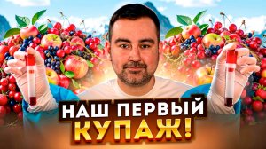 60 литров эксперимента! Как мы сделали купаж с вишне, клубникой и черной смородиной