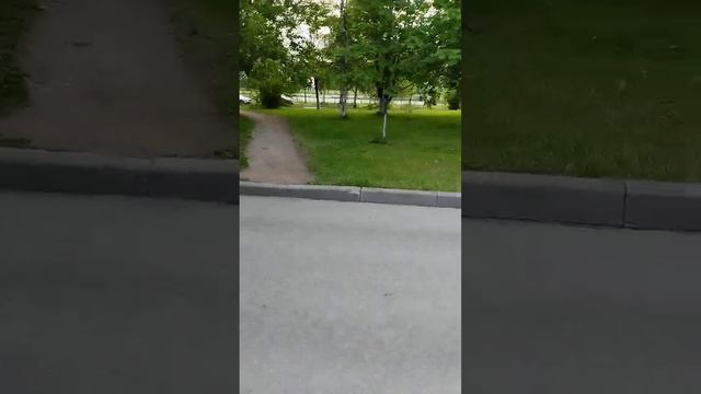 Доброе Утро Счастливого Дворника 13 Июня 2024. смотреть онлайн