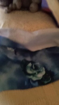 домик кота