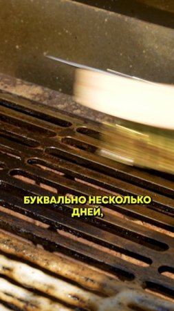 Как мы отмывали жир с гриля...