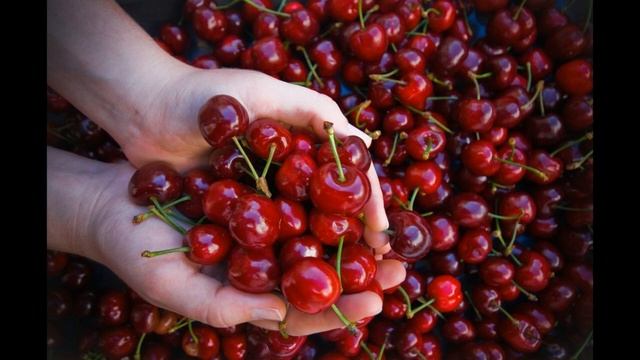 Чудесный урожай вишни. Чудо 55 смотреть онлайн