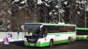 Поездка на автобусе ГолАЗ-525110-10 Вояж № 17428 (010554) Маршрут № 1004 Москва.