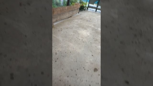 12-06  нас накрыло градом град в Краснодарском крае