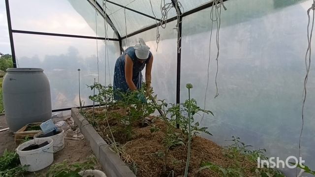 Сельские будни.Про огородные и тепличные дела🤗