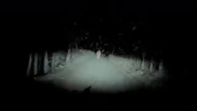 Японский видеорегистратор смотреть онлайн