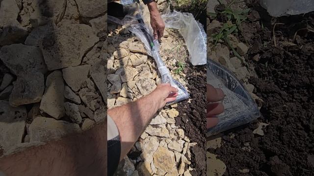 Отлична лопата