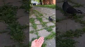 Всех с праздником, слушаю новую аудиокнигу Миссия выполнима и ловлю классные инсайты.