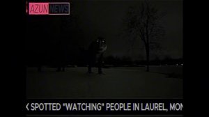 ОНО МОЖЕТ ГОВОРИТЬ С ЛЮДЬМИ | Prehistoric Emergence