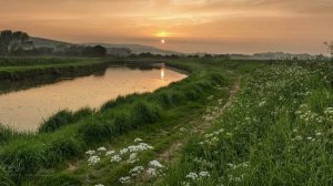 БАРБОСКИН КУПАЕТСЯ НА РЕЧКЕ