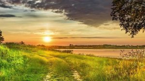 Даль великая М Надежда .