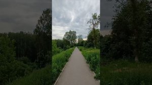 Природа Подмосковья! Звуки птиц подленные из фильма.