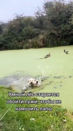 Конец убил 🫣