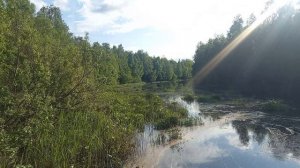 День России,