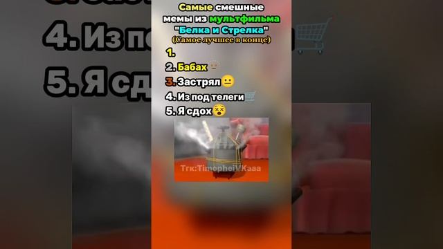 Топ 5 смешных мемов с Белкой и Стрелкой @Тимофеевка #енотки #фиксики