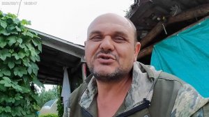 Обработка махорки для профилактики.