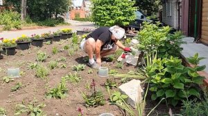 мы в огороде 🩷🩷🩷🩷🩷🩷🩷🩷🩷🩷🩷🩷🩷